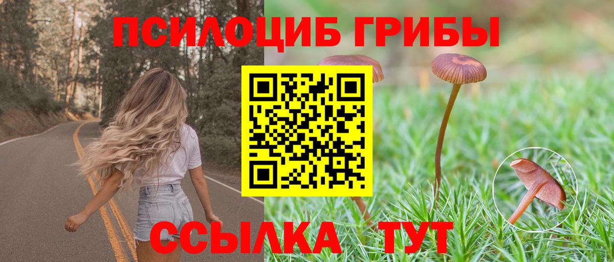 Галлюциногенные грибы ЛСД  Псилоцибиновые грибы мухоморы  как найти закладки  Алушта  Вход с VPN 